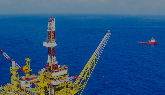 ɭ��������-׷�󽡿�,����һ��ɳ�