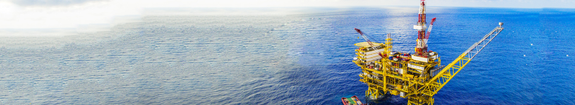 ɭ��������-׷�󿵽�,����һ���������